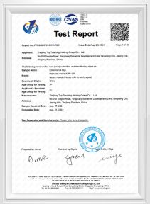 SZ210100309EN-ASTM F963-17