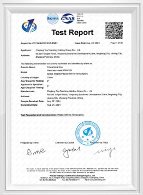 SZ210100309EN-ASTM F963-17